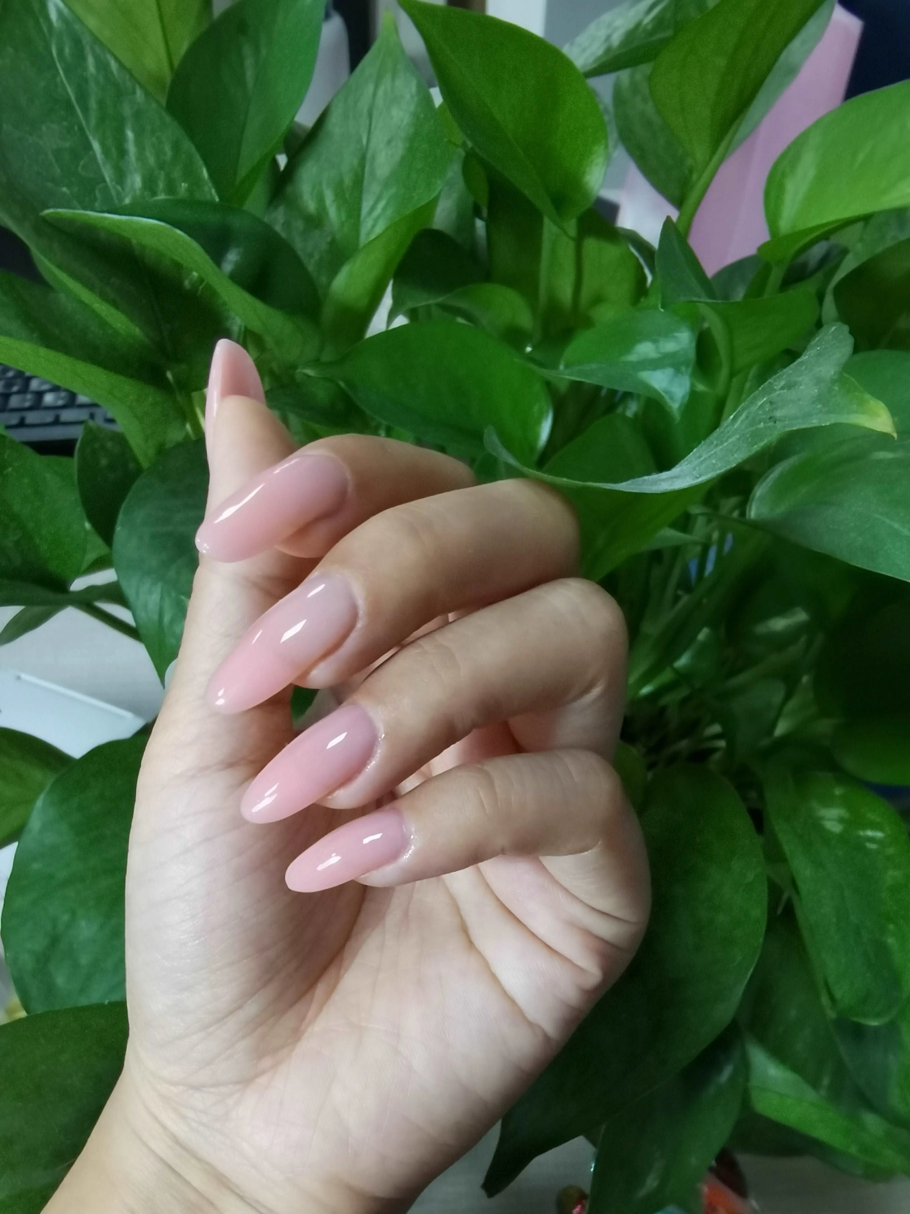 Builder Base Clear Sheer Color Gel (Set6-36)